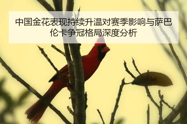 中国金花表现持续升温对赛季影响与萨巴伦卡争冠格局深度分析